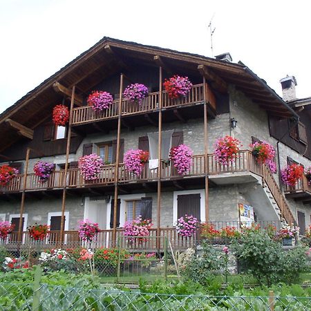 Le Vieux Noyer - Appartamenti Al Verde Villaggio Di Rumiod Saint-Pierre Eksteriør billede
