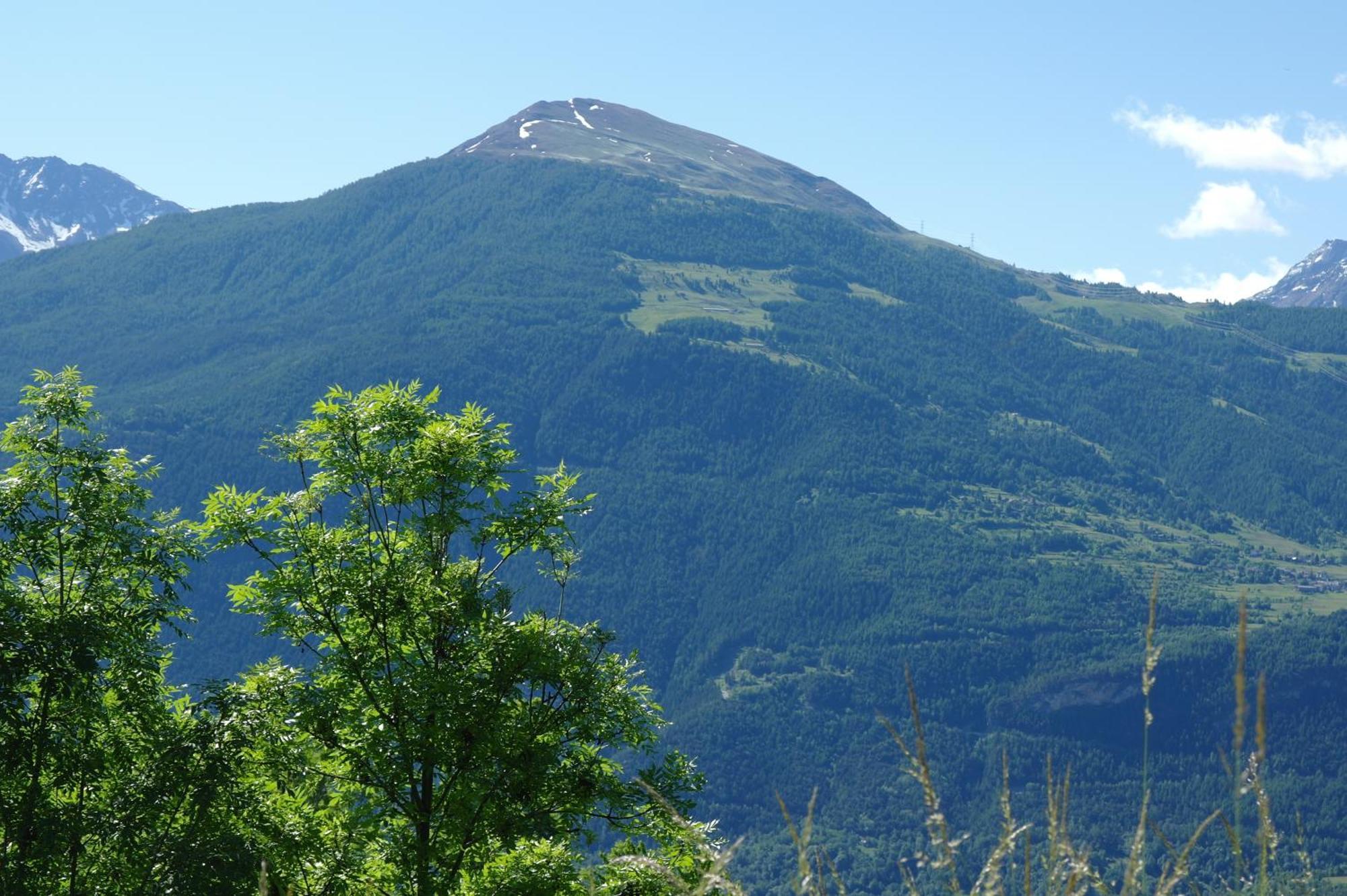 Le Vieux Noyer - Appartamenti Al Verde Villaggio Di Rumiod Saint-Pierre Eksteriør billede