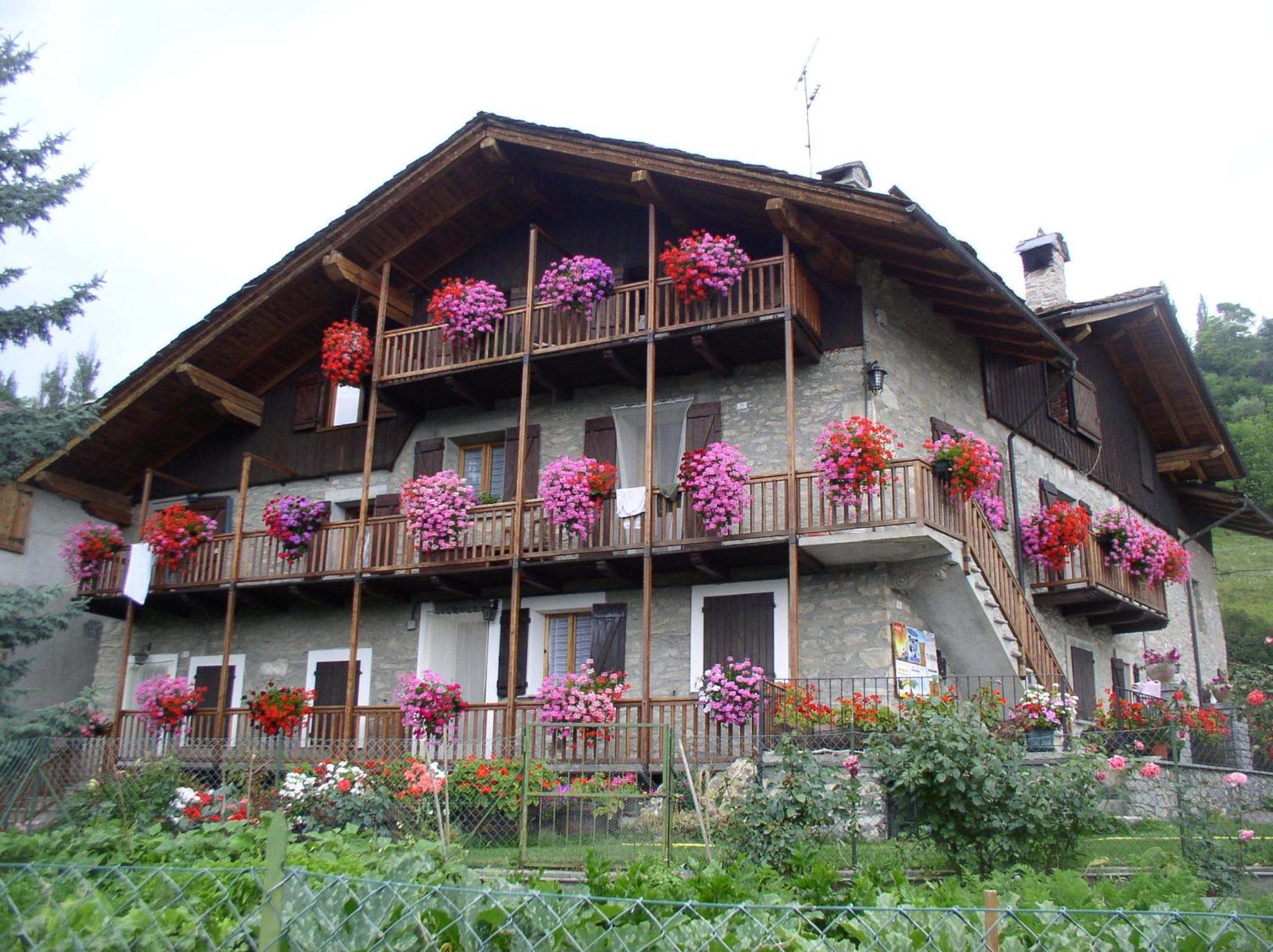 Le Vieux Noyer - Appartamenti Al Verde Villaggio Di Rumiod Saint-Pierre Eksteriør billede